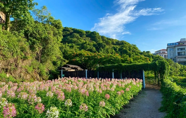 【深圳·青青世界】29.9元抢40元青青世界春节儿童早鸟票，还有成人票可选