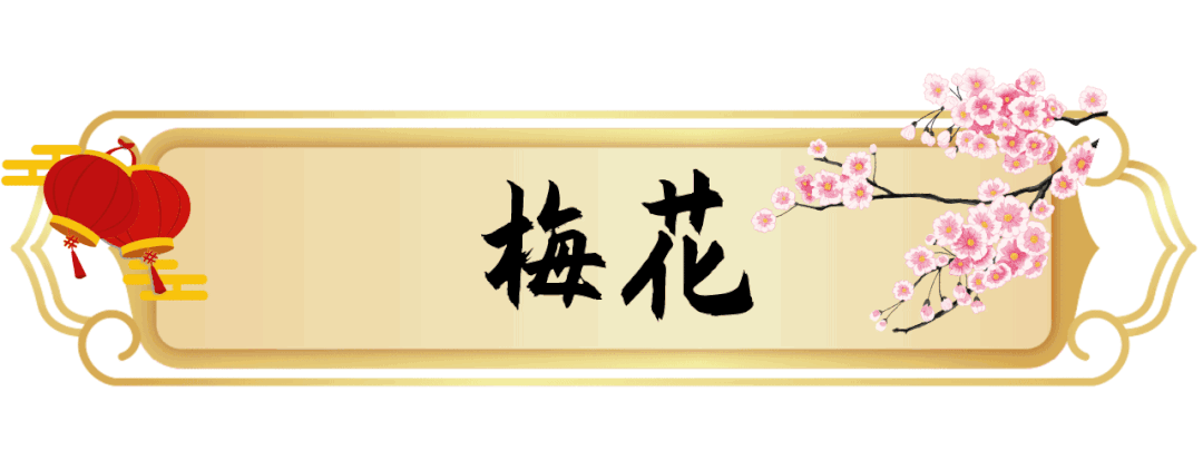 1月花历 | 历添新岁月 风吹花草香
