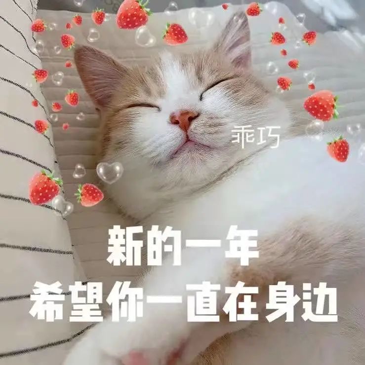 倒计时5天开馆!九龙山体育公园预约攻略来啦! 倒计时5天开馆!九龙山体育公园预约攻略来啦!