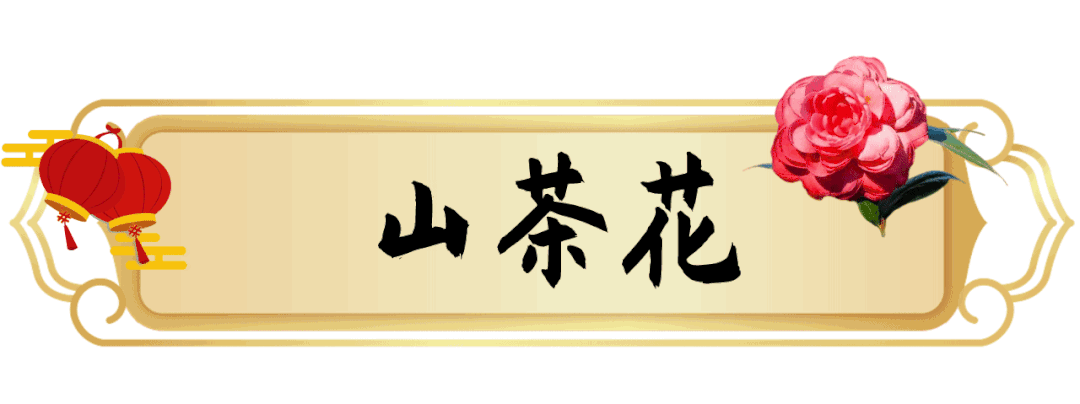 1月花历 | 历添新岁月 风吹花草香