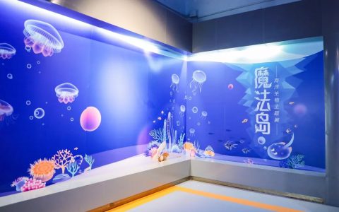 【宝安科技馆】海洋生物主题展览免费开放啦！快带娃来打卡体验吧