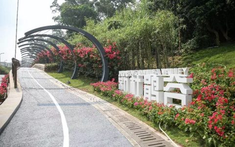 藏不住了！宝安这处近6百万平米的花海绝美盛放，你去了没？