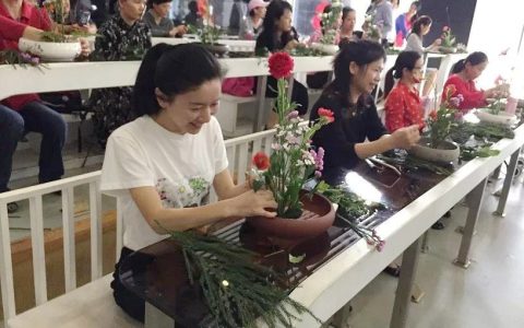【免费报名】“静怡雅致 花艺学堂”——深图中式插花体验活动与您有约