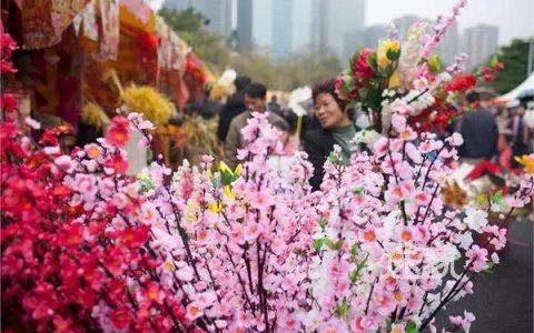 2020年福田区福保迎春花市点定了！必须约起来！