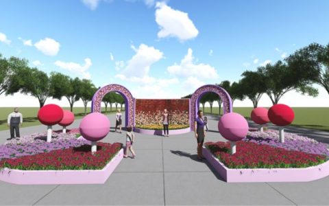 2020深圳福田月季花展来啦~