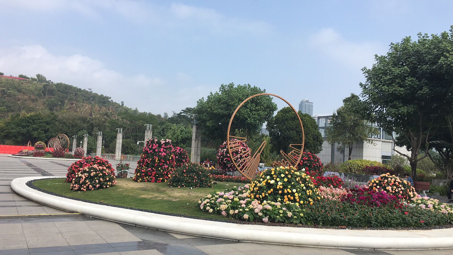 深圳花卉展图片