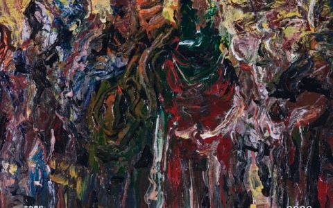 【深圳美术馆】后觉——富中奇2020艺术作品巡回展