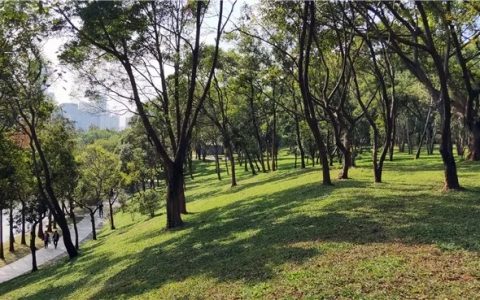 五一离深、来深、返深是否需要检测隔离？这么做才能愉快地玩耍！
