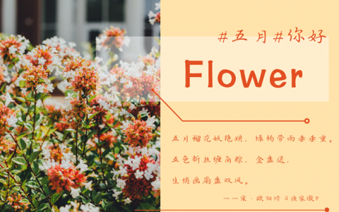 夏花初放，绿荫如海，五月深圳的公园，带来夏日的味道！
