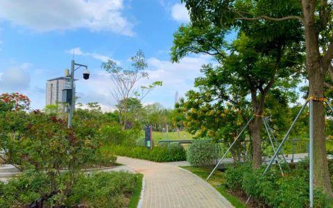 【导赏预约】香蜜公园"六一"导赏活动来了，快来报名参加吧！