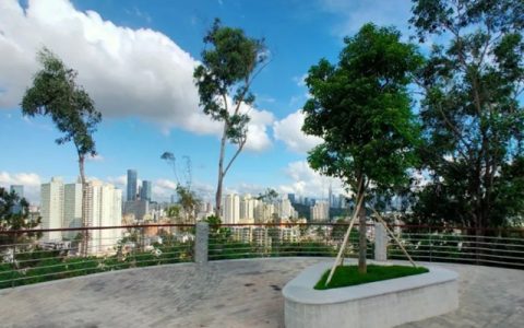梅林公园上新啦~ 周末游园来“听涛”吧！