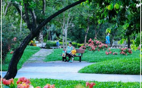 【深圳八月花历】8月“暑”不尽，花开依旧红