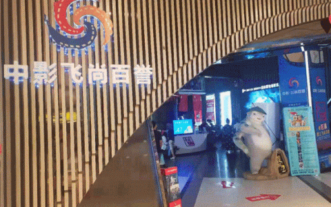 【免费报名】静怡雅致 花艺学堂——深图邀你来插花！