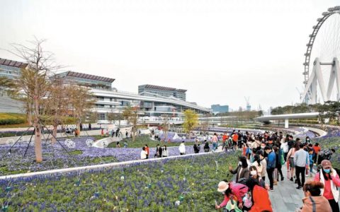 春节到海滨文化公园感受年味儿！摩天轮和灯光花海扮靓宝安