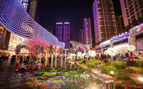2021深圳迎春临时购花点最全指引，3200个购花档，看看哪个离你家最近