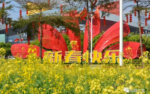 多彩油菜花田惊艳亮相“市民花田”