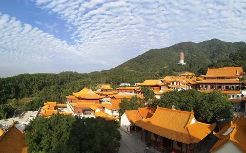 深圳弘法寺恢复开放！预约方式看这里