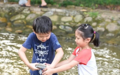 踏青时节，深圳海上田园门票优惠来袭！