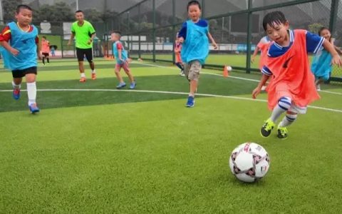 【免费报名】龙岗又有公益培训可以报名啦，千万别错过！