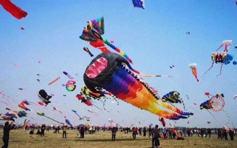 亲子DIY风筝活动+小小牙医角色扮演/报名即可领取价值300元洁牙大礼包+学习文具大礼包