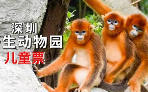 【深圳·门票】限量抢购！29.9元抢140元深圳野生动物园儿童全天票