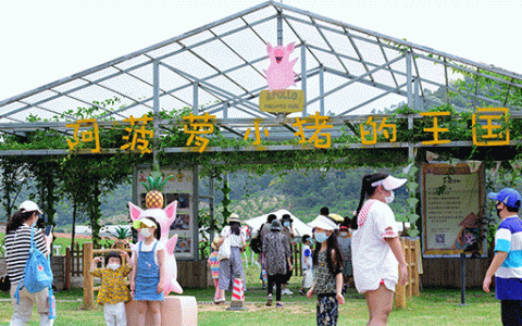 已下架~~【宝安·亲子】盛夏狂欢等你来嗨！69.9元抢138元『阿菠萝小猪的王国』1大1小亲子套票！