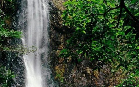 溯溪玩水赏瀑布！马峦山郊野公园你去过吗？
