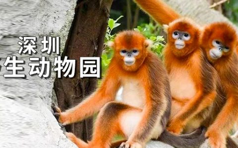 国庆节景区景点门票合集（持续更新中..）