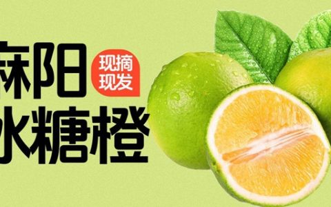 【全国包邮】现摘现发！26.8元抢48元『麻阳冰糖橙』5斤；36.8元=9斤；清甜爽口，粒粒果肉！