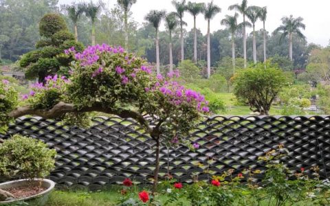 【提醒】莲花山公园停车场本月暂停使用