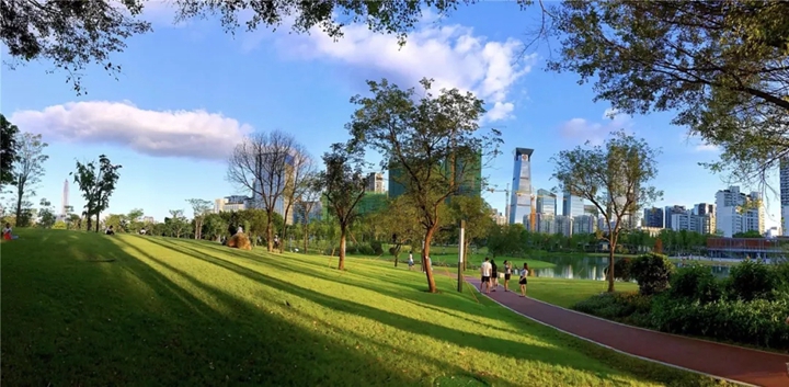 深圳红岗公园图片