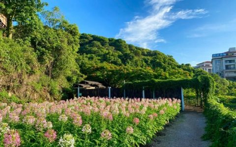 【深圳·青青世界】29.9元享89.9元青青世界『奇幻大马戏嘉年华夜场票』；前所未见的奇趣、魔幻、狂欢之旅就在青青世界！