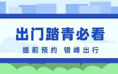 赏花、看海、爬山……清明出行，这些交通提示必看！
