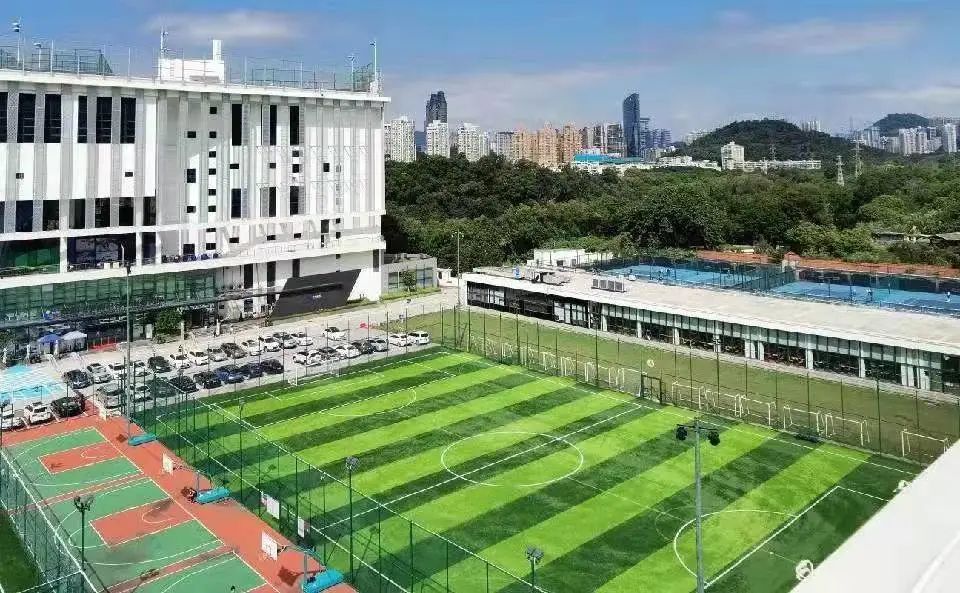 公益惠民|罗湖体育中心公益惠民开放安排