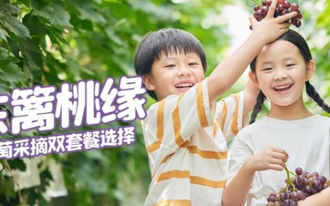 【宝安区·采摘】快来东篱桃缘摘葡萄啦！39.9元=1斤葡萄+4枚绿壳鸡蛋+喂鸭+喂兔；59.9元=2斤葡萄+1斤蔬菜（青椒）+喂鸭+喂兔；畅游田园风光，享受亲子乐趣！