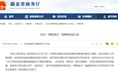 湖北消费券发放时间定了！