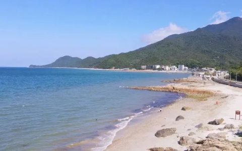 撞入夏日的海风，在深圳观海公园、绿道觅清凉
