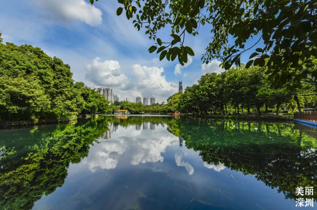 清凉一“夏”！深圳公园的避暑好去处