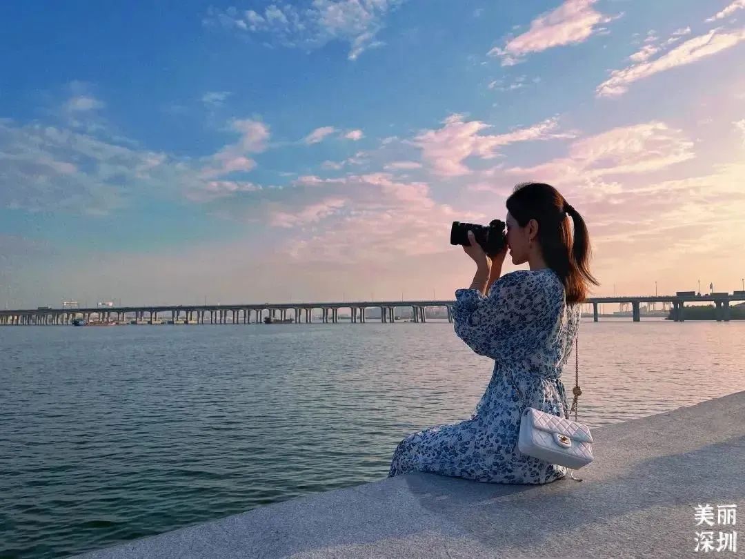 撞入夏日的海风，在深圳观海公园、绿道觅清凉