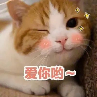 最高600元！龙华区文旅消费券8月5日10点免费发放！速戳→