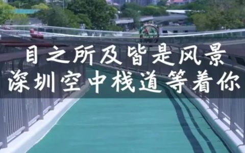 “空中”漫步赏都市美景！深圳又添一网红打卡点，就在市中心