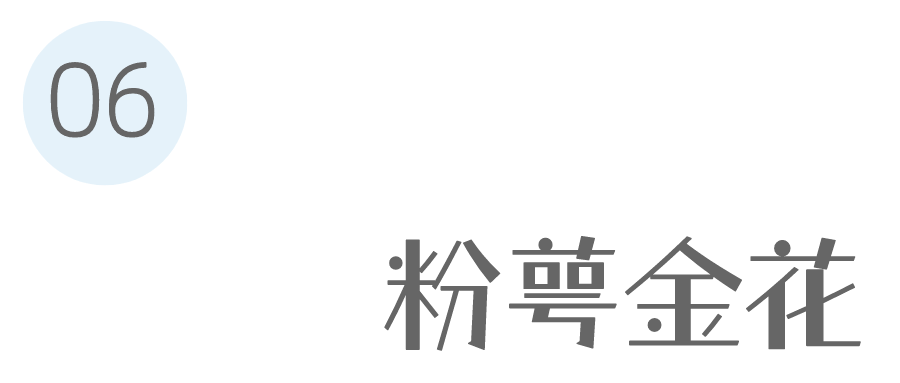 9月花历 | 愿美好如期而至，你好，九月！