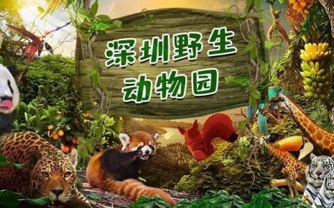 3.3折！抢深圳野生动物园&深圳欢乐谷『联合年卡』！一年无限次玩转两大热门景区，各种动物&游玩项目等你来！