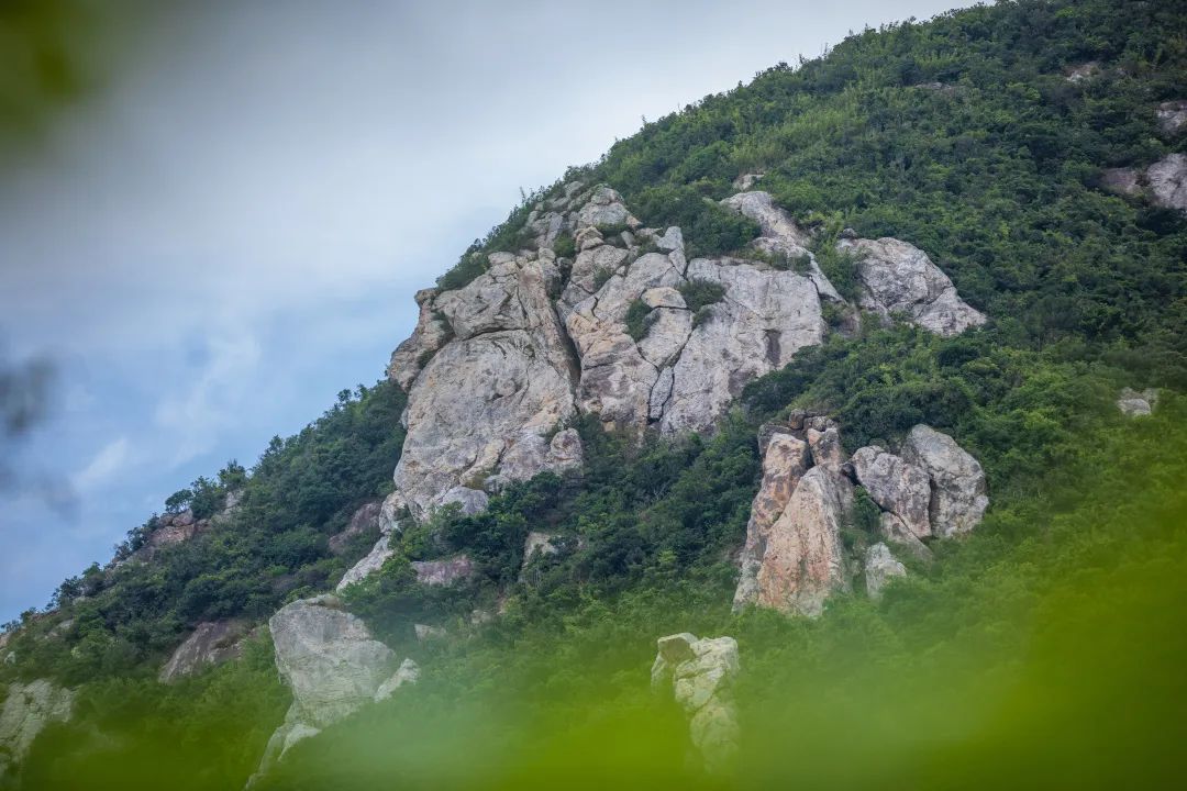 深圳精品绿道 | 新东绿道：当陡峭的悬崖遇上激流的海浪，山海之乐在此别样碰撞