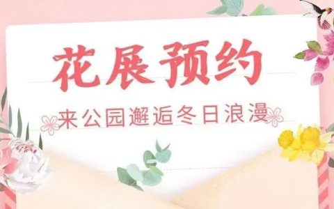 2022深圳簕杜鹃花展今日开展，最全预约指南看这里→