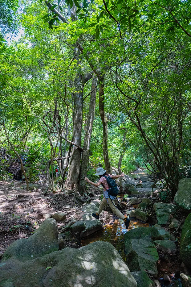 山脉为线，串起叠翠人文！坪山区82.2公里远足径郊野径全线贯通