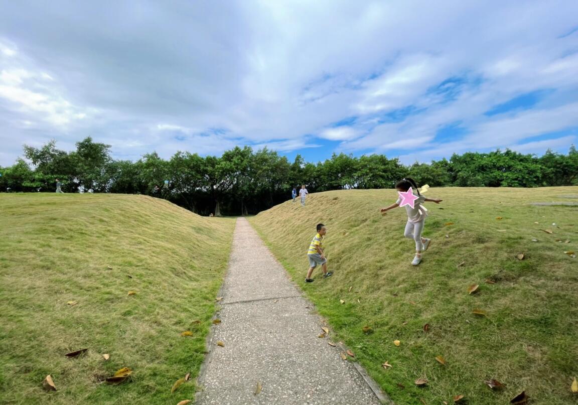 【红花岭公园】寻找深圳秋冬成片落羽杉（将近5000棵），龙岗绝美小森林公园！