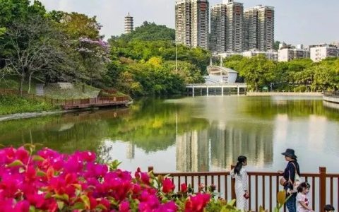 【深圳十二月花历】不负好时光，深圳公园邀您赏花