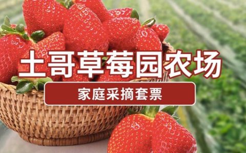 【深圳2店通用】34.9元享『土哥草莓园农场』2大两2采摘套票；送牛奶草莓1斤！