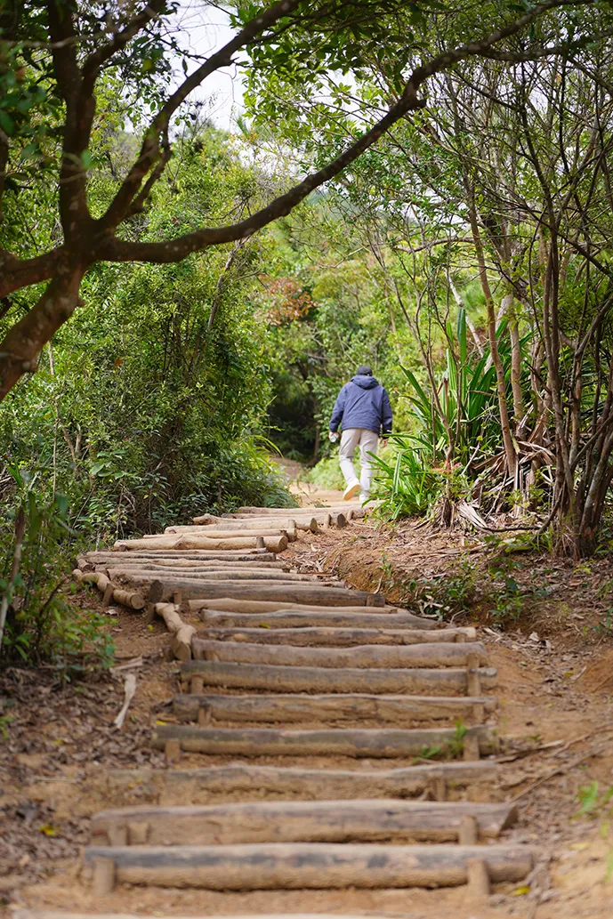 山脉为线，串起叠翠人文！坪山区82.2公里远足径郊野径全线贯通